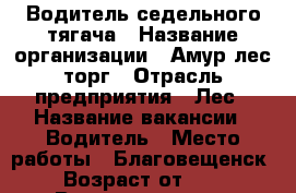 Водитель седельного тягача › Название организации ­ Амур-лес-торг › Отрасль предприятия ­ Лес › Название вакансии ­ Водитель › Место работы ­ Благовещенск  › Возраст от ­ 25 › Возраст до ­ 40 - Амурская обл. Работа » Вакансии   